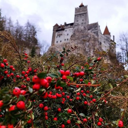 Pensiunea Antonio Bran Bran  Zewnętrze zdjęcie