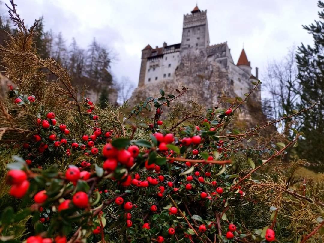 Pensiunea Antonio Bran Bran  Zewnętrze zdjęcie