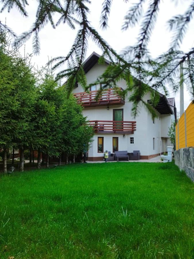 Pensiunea Antonio Bran Bran  Zewnętrze zdjęcie
